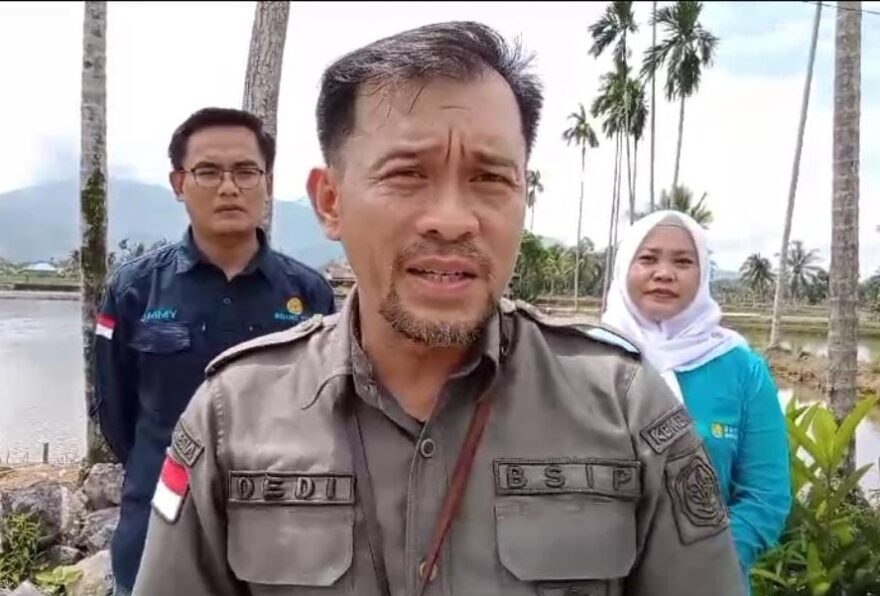Kepala BSIP Bengkulu, Dedy Irwandi.