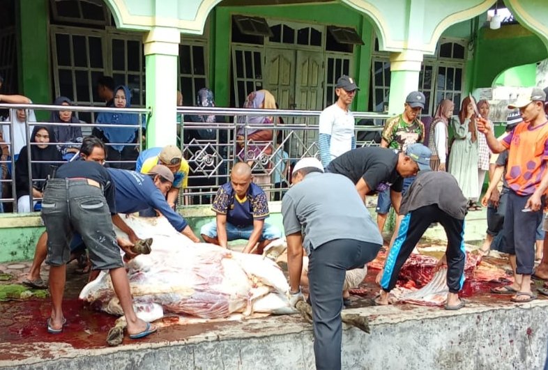 hewan qurban